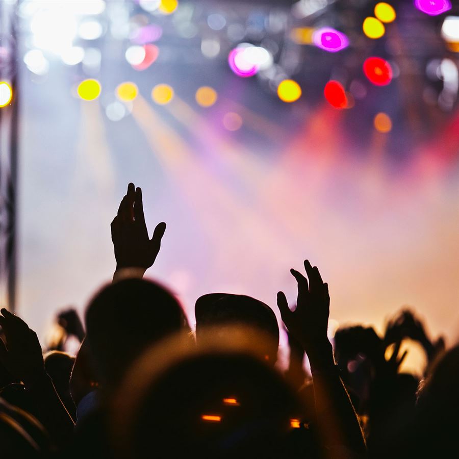 Mennesker på konsert