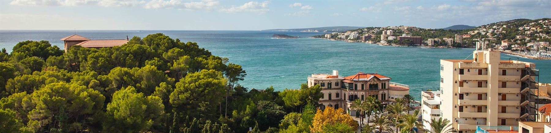 Palma