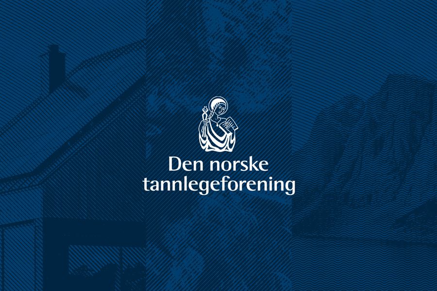 Kollegaer som jobber sammen