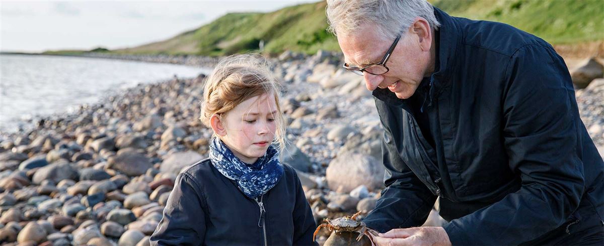 Grandpa and grandaughter on the beach